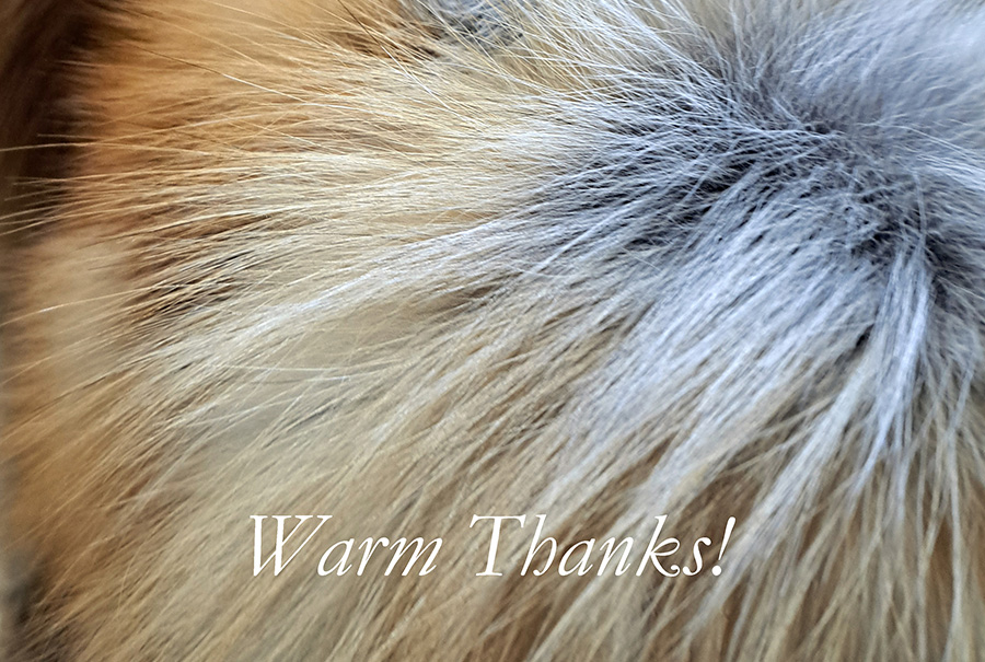 warm-thanks.jpg